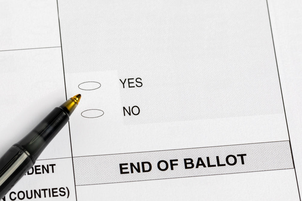 Image of Ballot with referendum choice of yes or no
