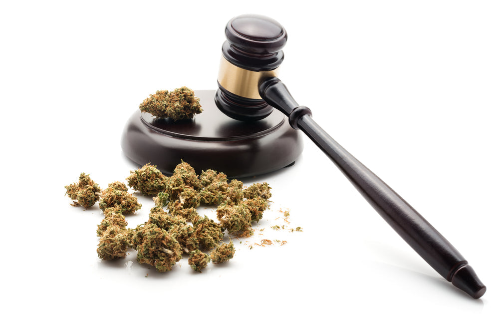 Michigan: Medical Marijuana Sales Subject to Sales Tax